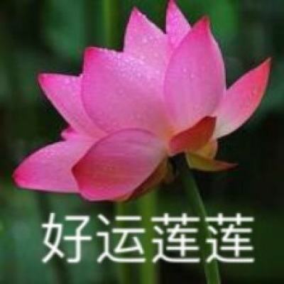 挖掘机大师3d官方下载