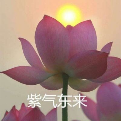 轰了个球游戏(暂未上线)v1.0 安卓版